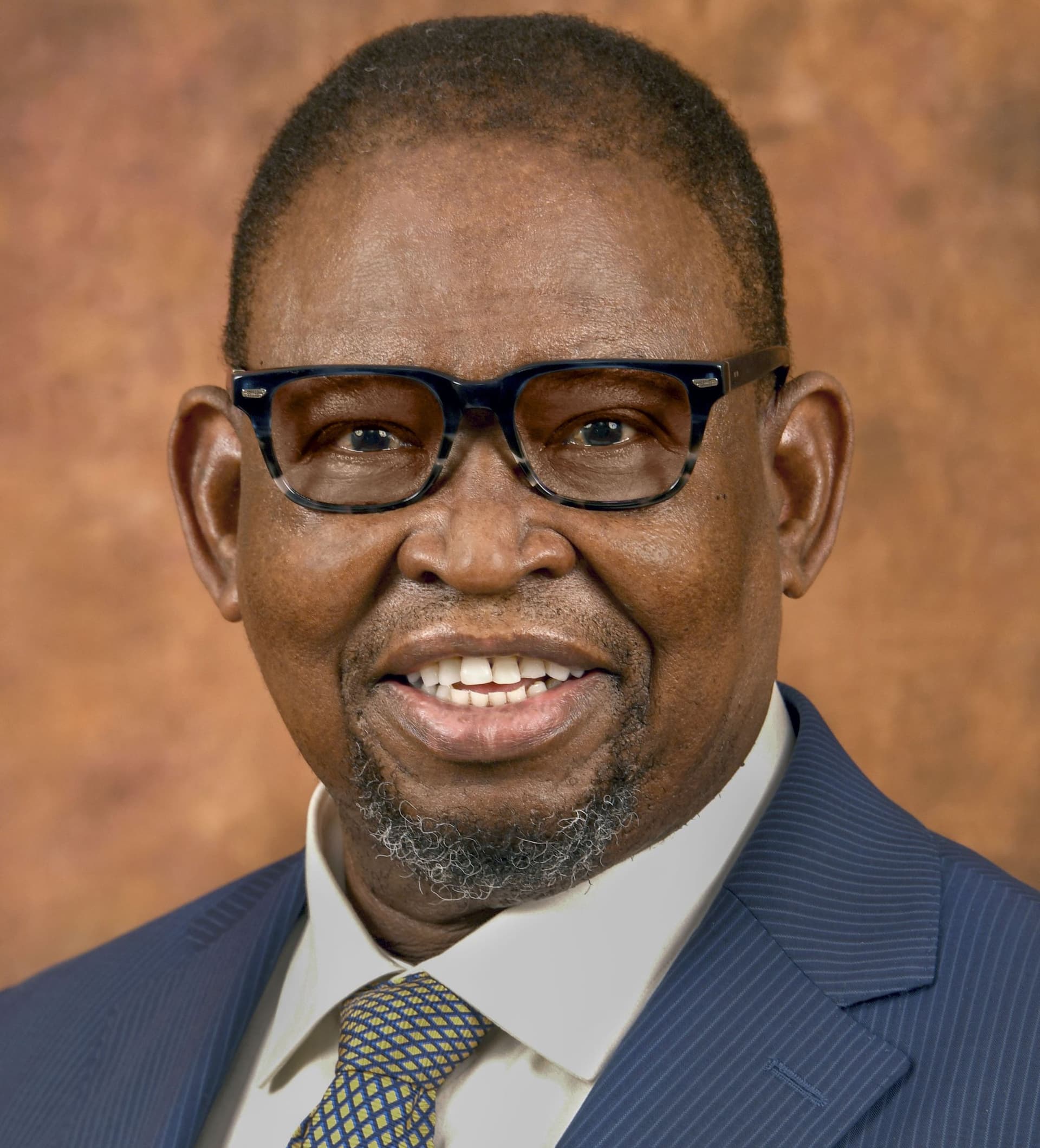 Godongwana Enoch, Ministerof Finance