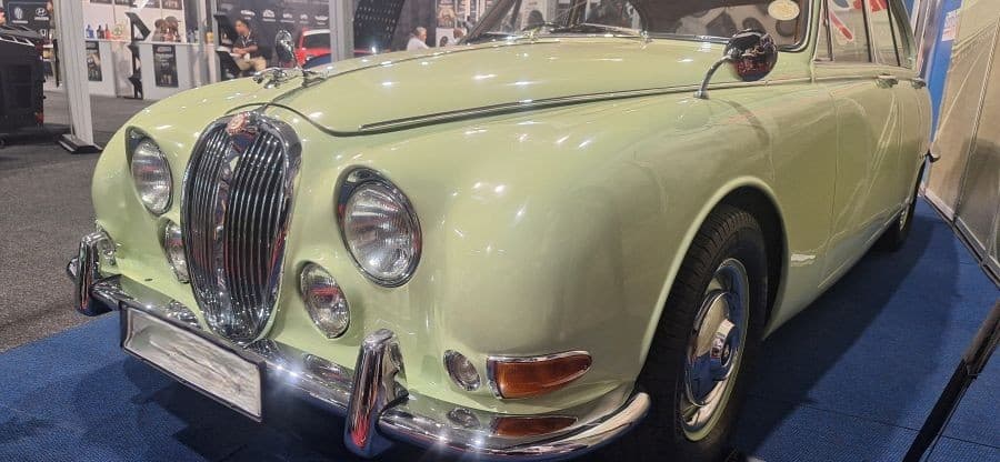 From a Schweizer-Reneke Farm to Hall 2: Greenie the Jaguar Goes on Show gallery image 1
