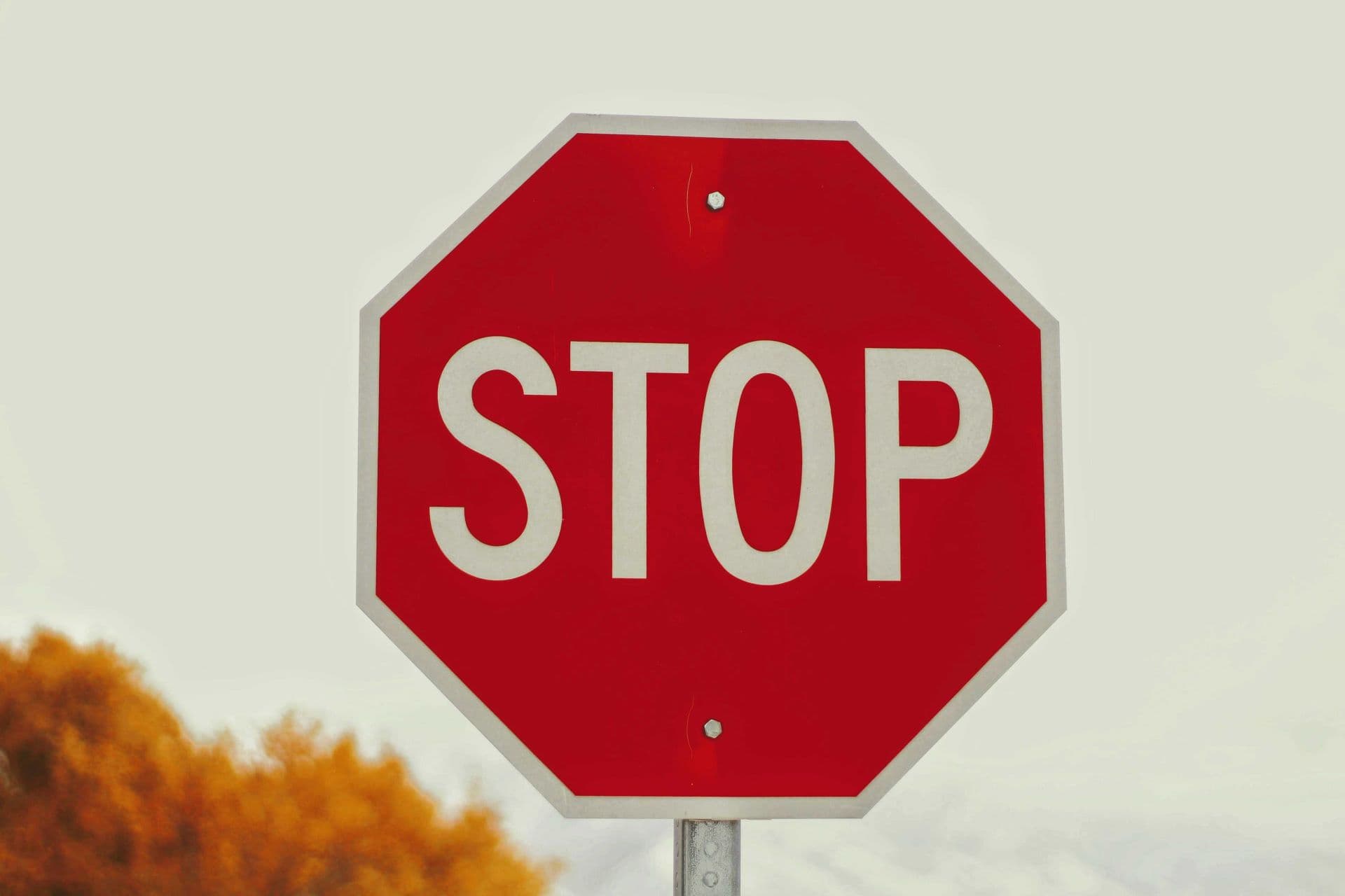 Stop relying on reverse automatic braking alone, says AAA