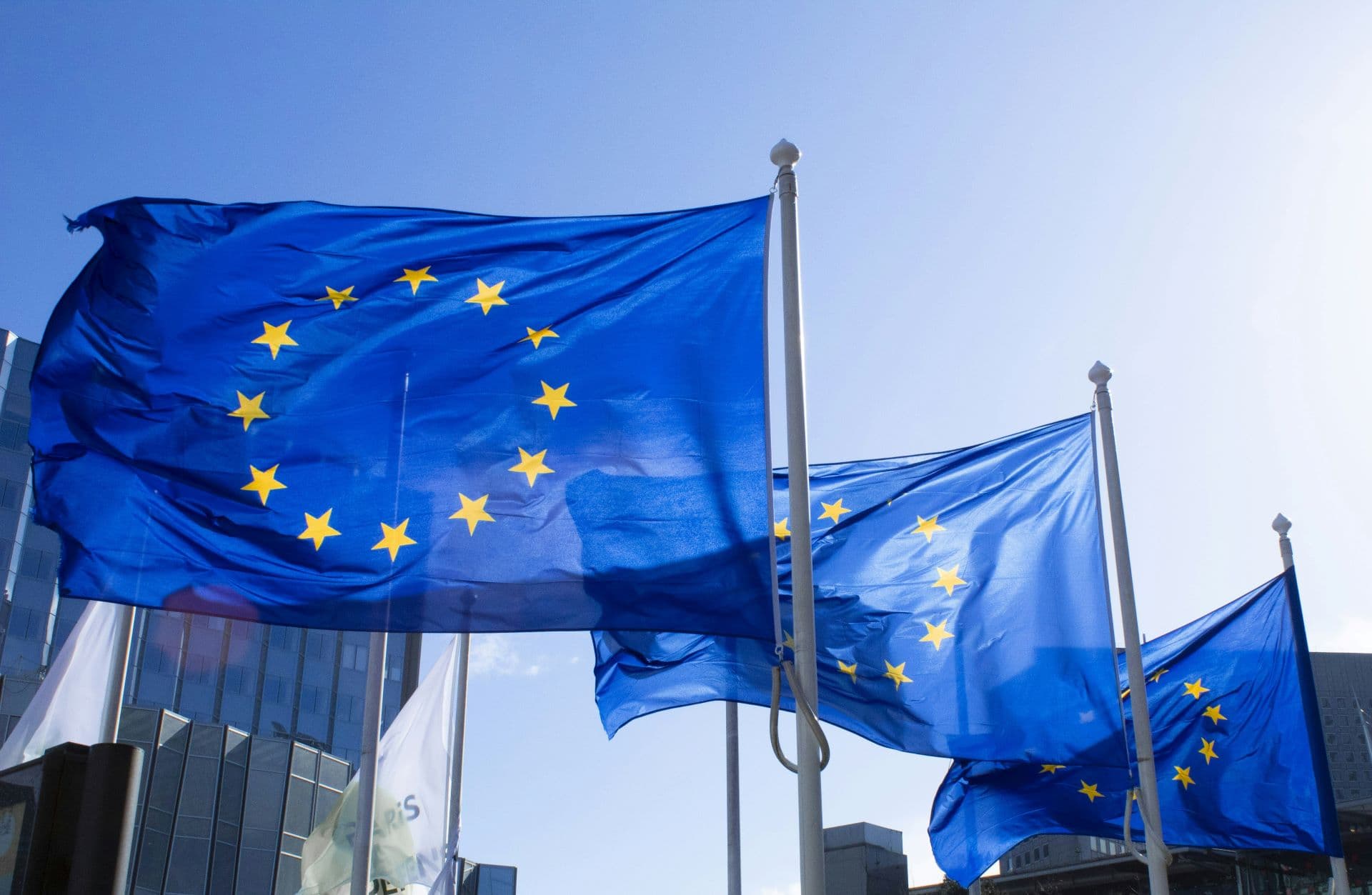 EU Insists on EV Future Despite Automotive Industry Reluctance